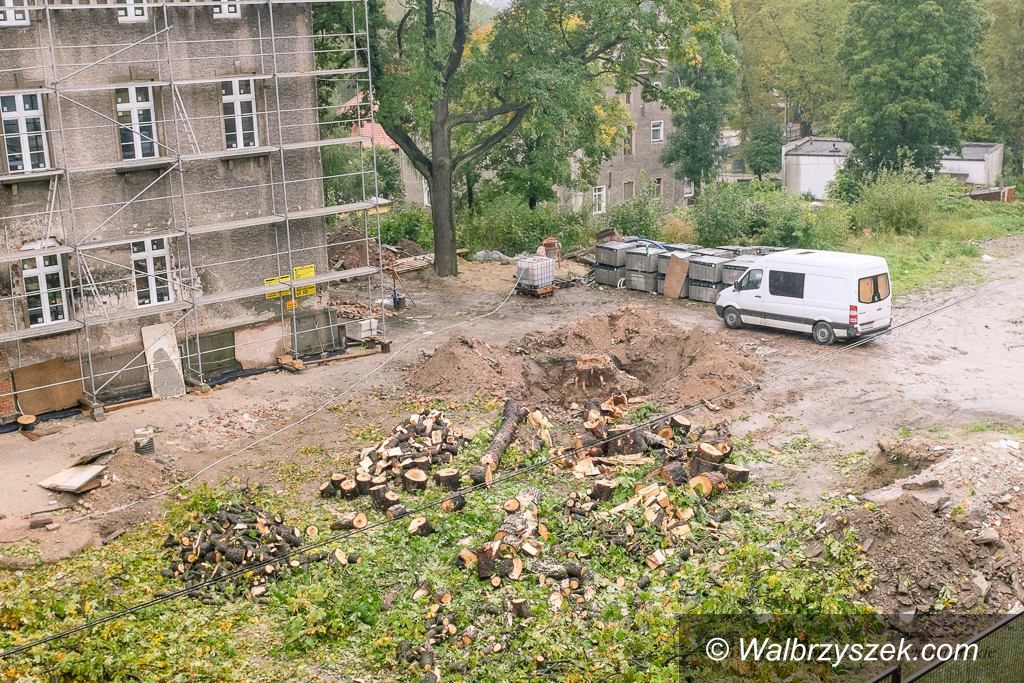 REGION, Głuszyca: Dom Spokojnej Starości w cieniu stuletniej lipy i kasztanowca