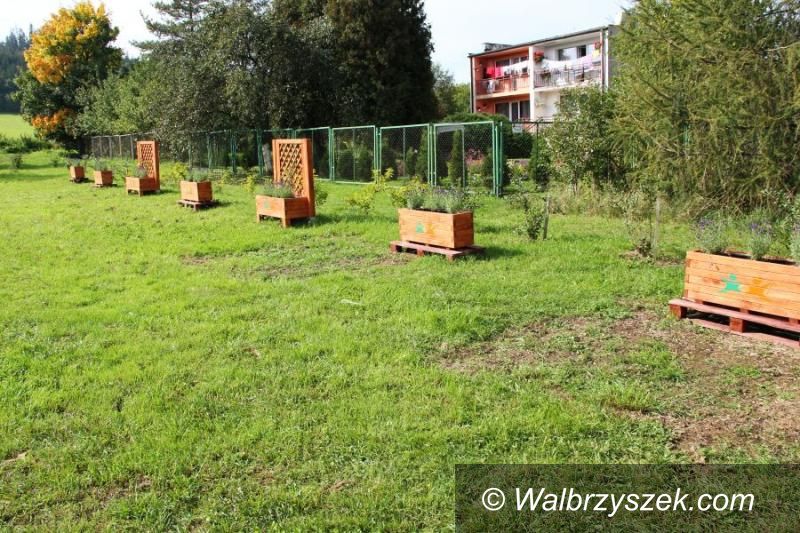 REGION, Czarny Bór: Czarnoborskim seniorom można pozazdrościć pomysłów