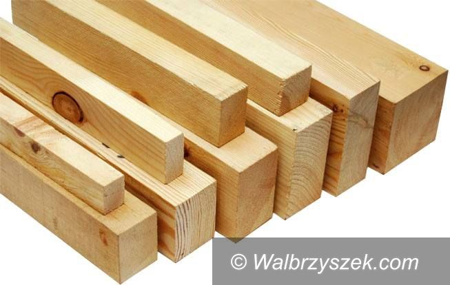 Wałbrzych/REGION: Fundacja "Na pomoc zwierzętom" prosi o wsparcie