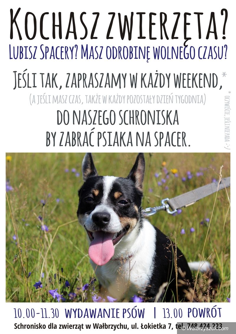 Wałbrzych: Zapraszamy na spacery