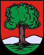 Wałbrzych: Prezydent przyznał pieniądze dla koszykarskiego Górnika