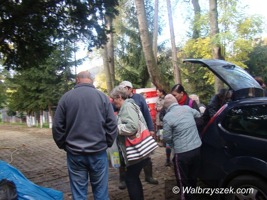 Wałbrzych/Szczawno-Zdrój: Seniorzy pomagają zwierzętom