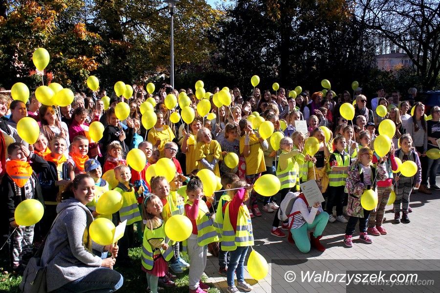 Wałbrzych: Pola Nadziei 2017