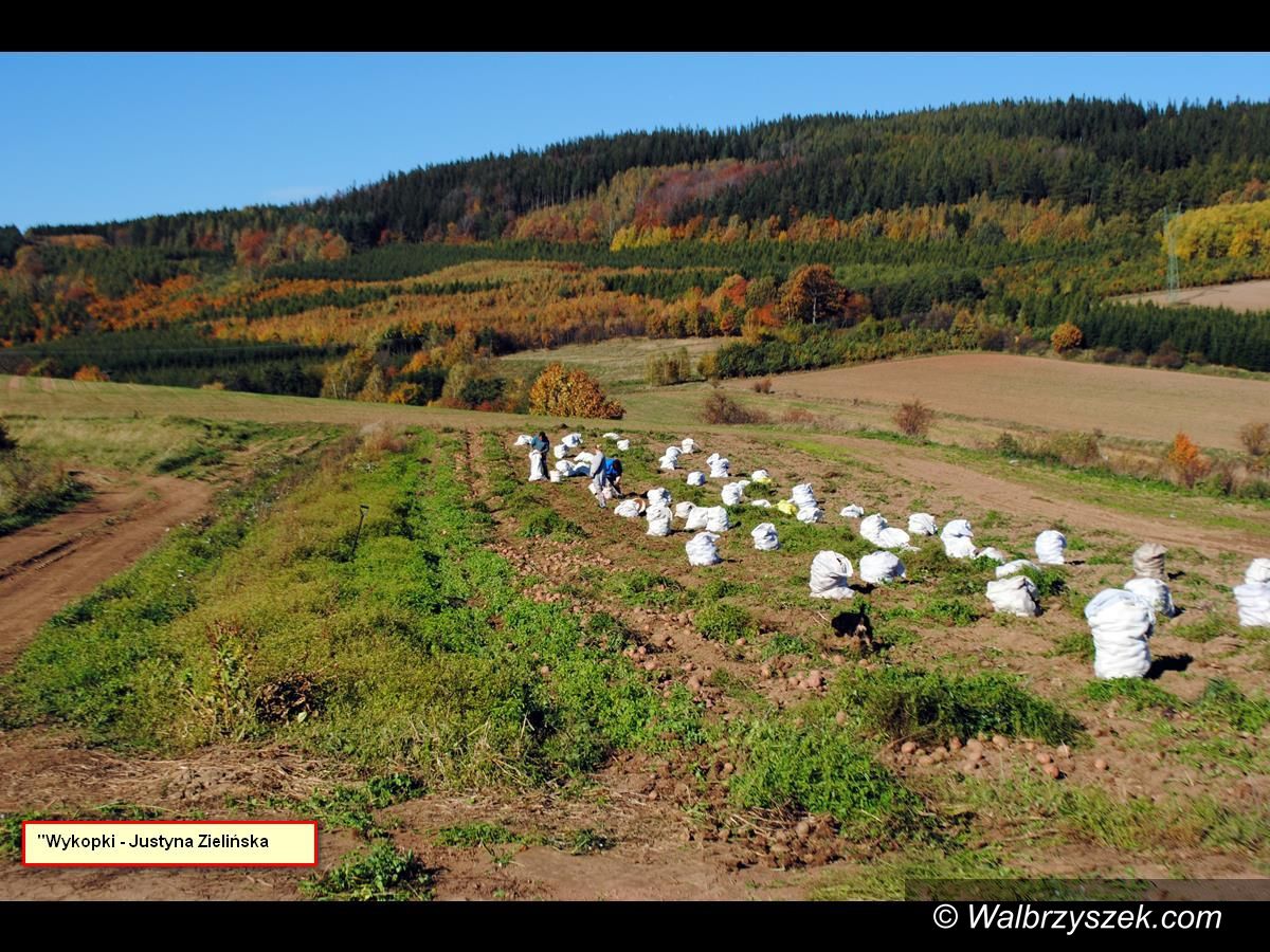 REGION, Stare Bogaczowice: Rozstrzygnięcie konkursu fotograficznego
