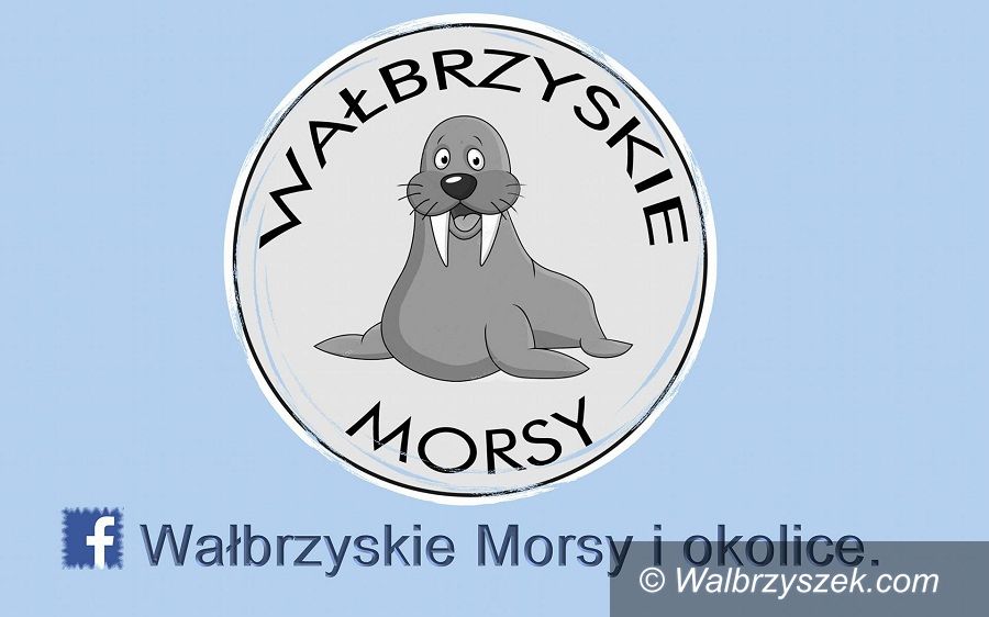 REGION, Stare Bogaczowice: Wałbrzyskie morsy zapraszają do kąpieli