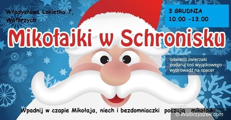 Wałbrzych: Mikołajki w schronisku