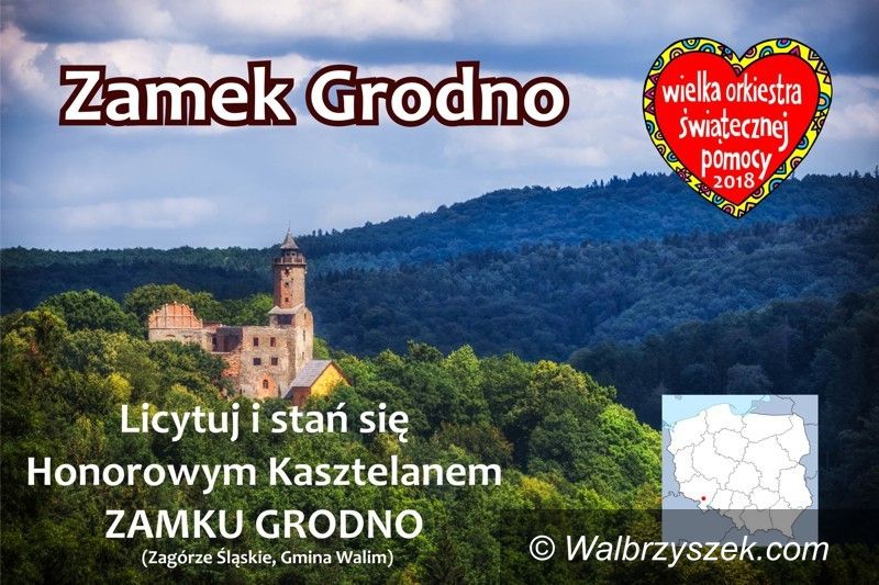REGION, Zagórze Śl.: Zamek Grodno poszedł pod młotek