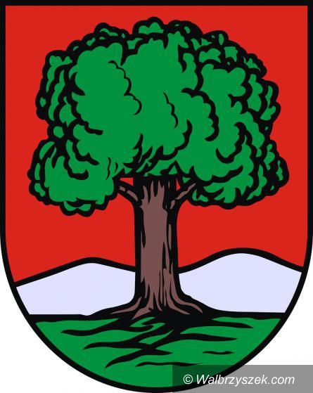 Wałbrzych: Prezydent przyznał pieniądze wałbrzyskim klubom sportowym