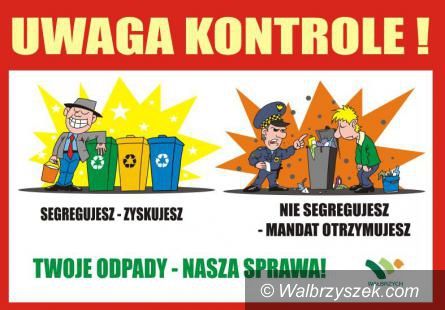 Wałbrzych: Będzie jeszcze bardziej zielono i czysto