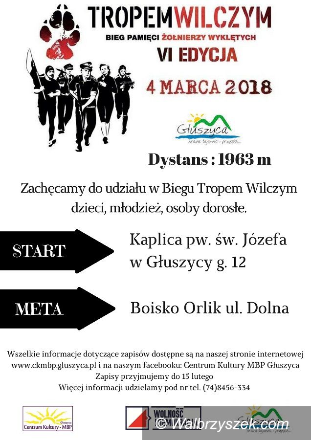 Głuszyca: Bieg Pamięci Żołnierzy Wyklętych w Głuszycy