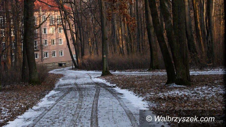 Wałbrzych: Ponad milion złotych na Park Rusinowa