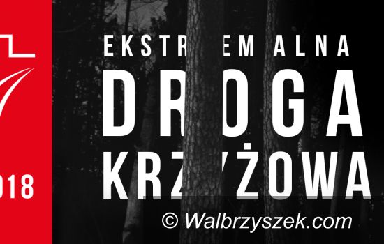 Wałbrzych: Pierwsza EDK wałbrzyska już wkrótce