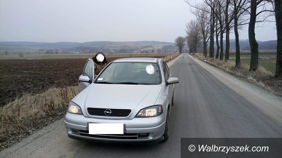REGION, Stare Bogaczowice: Wyrzucili psa na oczach radnego