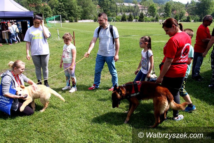 REGION, Głuszyca: Festyn charytatywny na rzecz czworonożnych przyjaciół