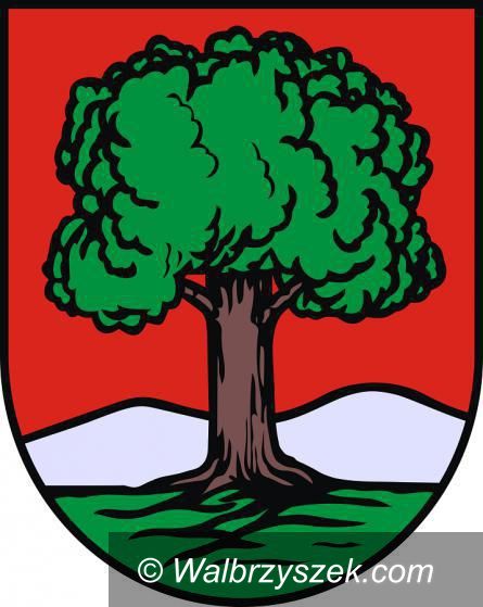 Wałbrzych: Prezydent określił, ile może zarobić kierownik jednostki budżetowej