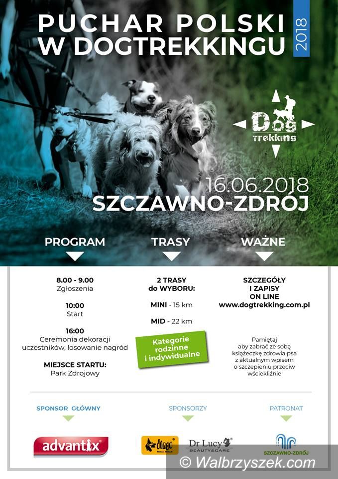 REGION, Szczawno-Zdrój: Bardzo ciekawa impreza odbędzie się w Szczawnie–Zdroju