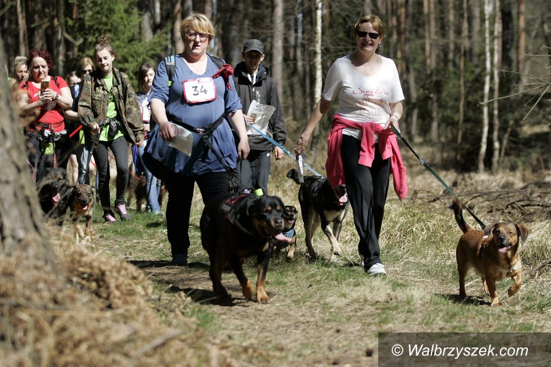 REGION, Szczawno-Zdrój: Popularność tego sportu stale rośnie