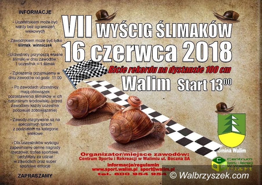 Walim: Będą się ścigać ślimaki