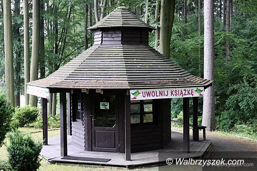 REGION, Jedlina-Zdrój: Ciekawe projekty jedlińskiej biblioteki