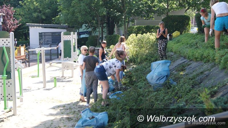 Wałbrzych: Uporządkowali Park Jordanowski