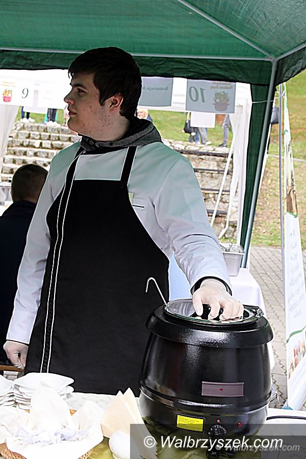 REGION, Jedlina-Zdrój: XVI Festiwal Zupy za nami