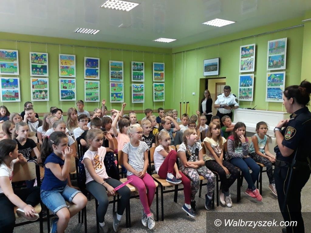 Wałbrzych: Edukacja i zabawa w OSK