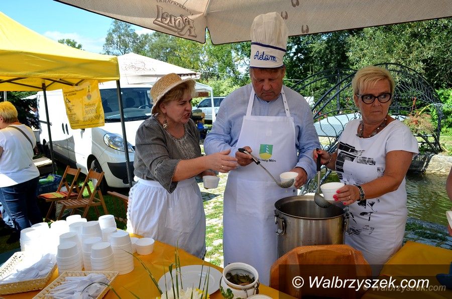 REGION, Dziećmorowice: XII Festiwal Sera za nami