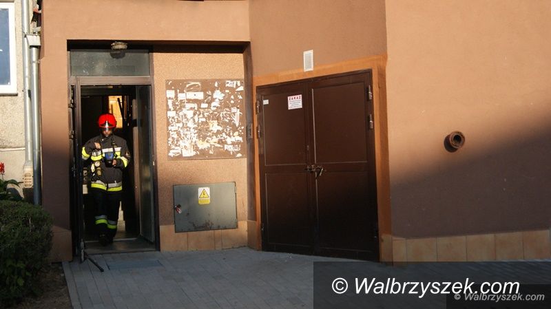 Wałbrzych: Straż pożarna interweniowała na Podzamczu