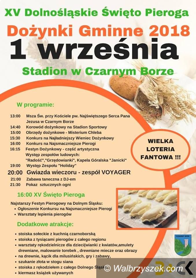REGION, Czarny Bór: Pierogowe święto już jutro