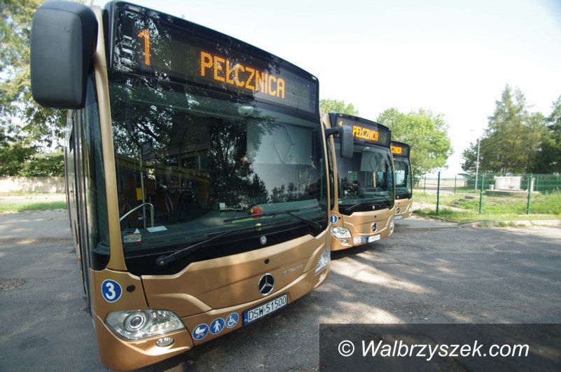REGION, Świebodzice: W Świebodzicach bilet czasowy, pies i rower – za darmo