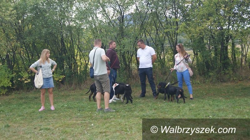 REGION, Szczawno-Zdrój: Pokaz psów myśliwskich