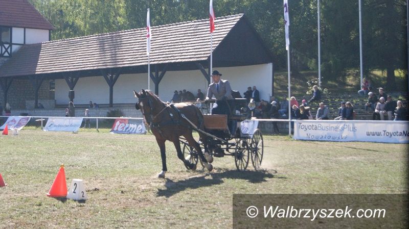 Wałbrzych: Udane zawody w Stadzie Ogierów Książ