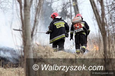 Wałbrzych/powiat wałbrzyski: Płoną nieużytki, łąki, lasy...
