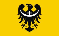 Wałbrzych/REGION: Ludwiczuk, Kruczkowski, Dyduch, Rambacher, Żołnieruk poza Sejmikiem