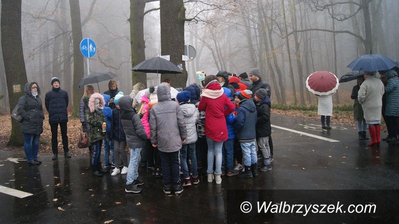 Wałbrzych: Park Rusinowa zmienił swoje oblicze