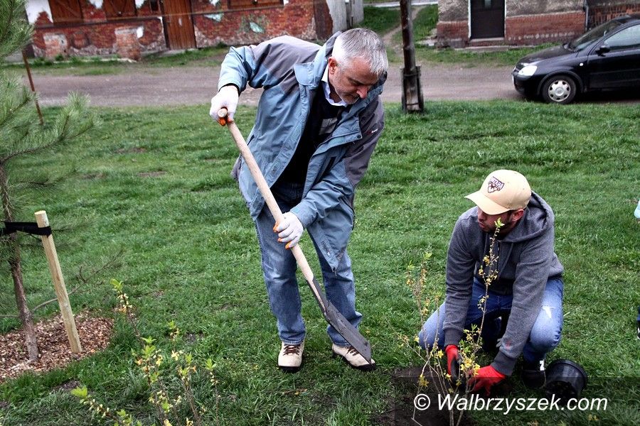 Wałbrzych: Wielkie sprzątanie Wałbrzycha