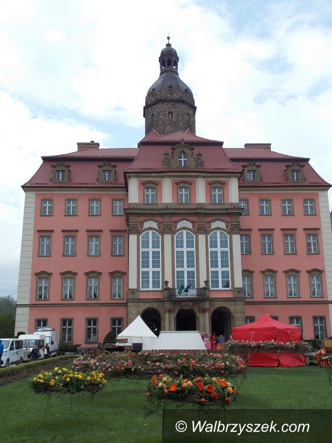 Wałbrzych: Trwa Festiwal Kwiatów i Sztuki