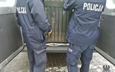 Wałbrzych: Z jednego ze sklepów wykradł dwie konsole do gier