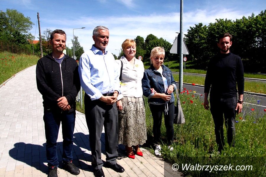 Wałbrzych: W Wałbrzychu pojawiają się łąki kwietne