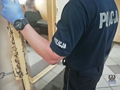 Wałbrzych: 17–latek ukradł ze sklepu 54 tabliczki czekolady