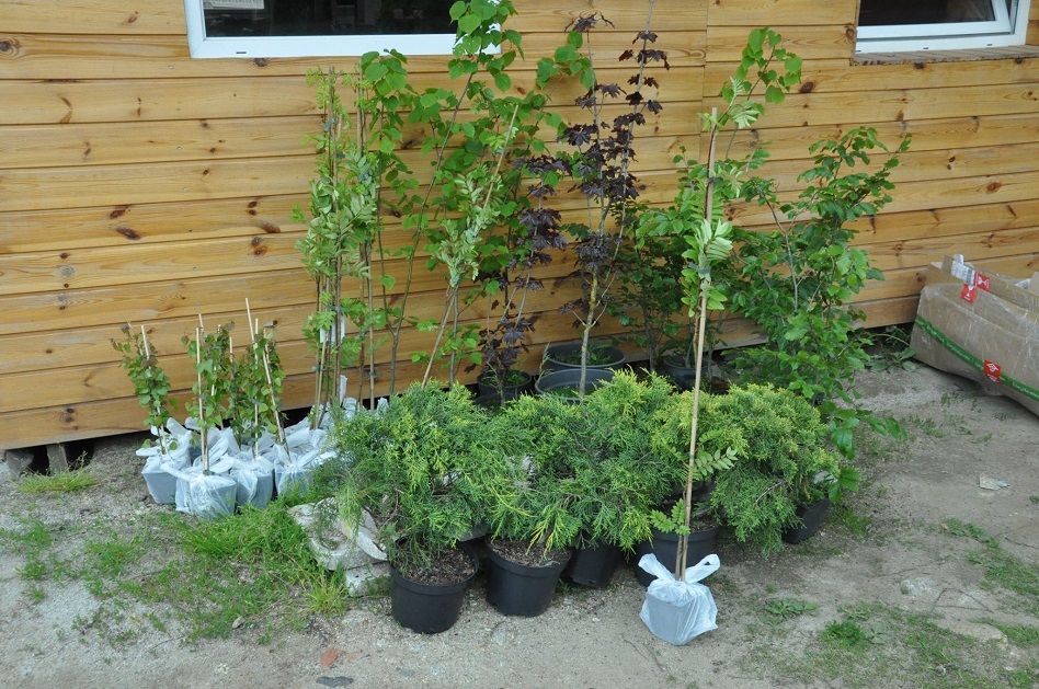 REGION, Stare Bogaczowice: Udany ekologiczny piknik nad zalewem w Starych Bogaczowicach