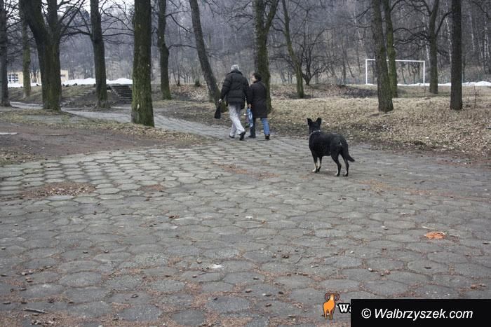 REGION, Szczawno-Zdrój/Wałbrzych: Psi wybieg