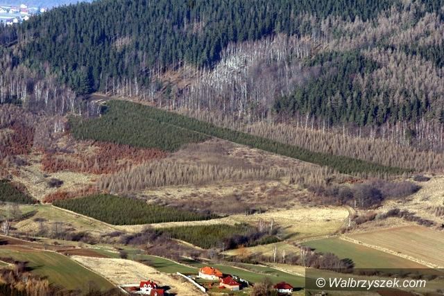 REGION, Szczawno-Zdrój: Z życia Szczawna