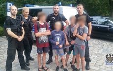 Wałbrzych: Niebezpieczne dziki