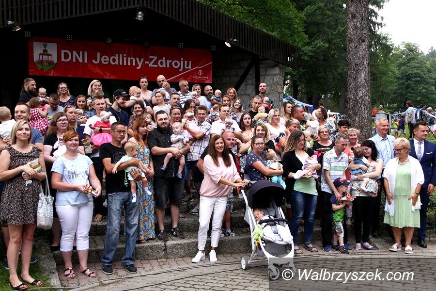 REGION, Jedlina-Zdrój: Dni Jedliny