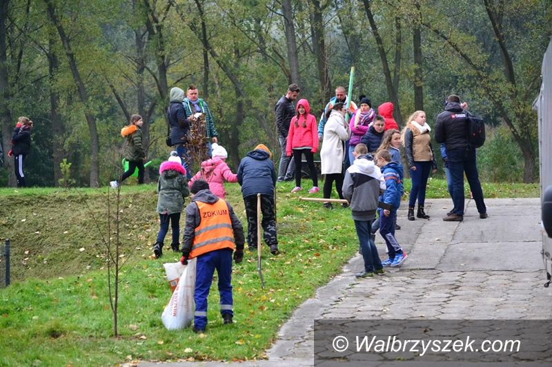 Wałbrzych: Zasadzą drzewka