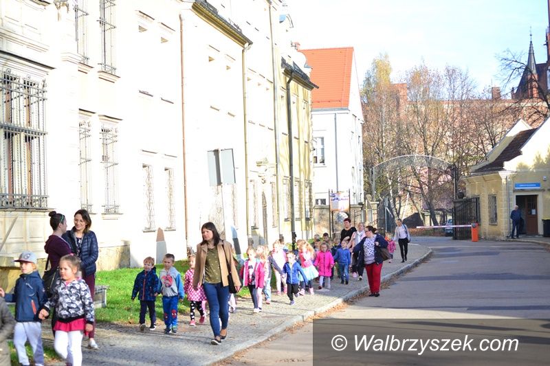 Wałbrzych: Festiwal Nauki