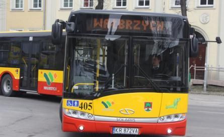 REGION, Szczawno-Zdrój: Podróżuj za darmo