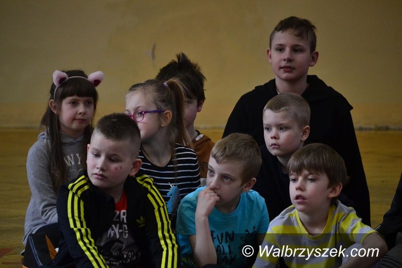 Wałbrzych: Edukacja i profilkatyka