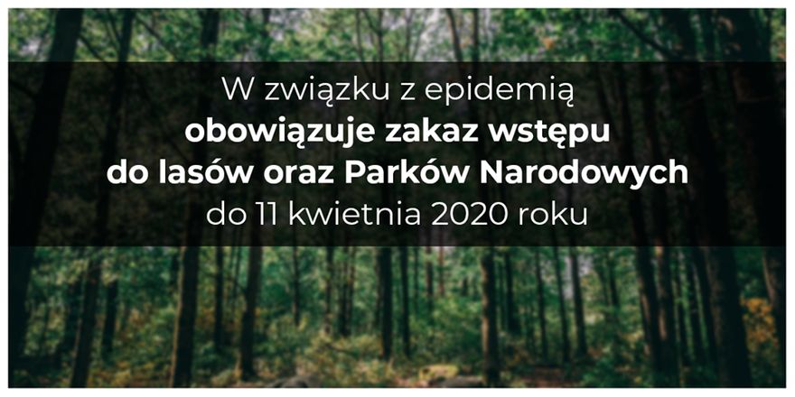 Wałbrzych/REGION: Zakaz wstępu do lasów